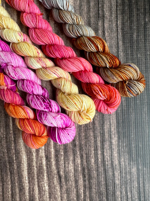 Cinnamon spices minis set