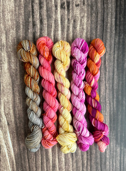 Cinnamon spices minis set